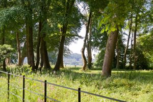 Grounds- click for photo gallery